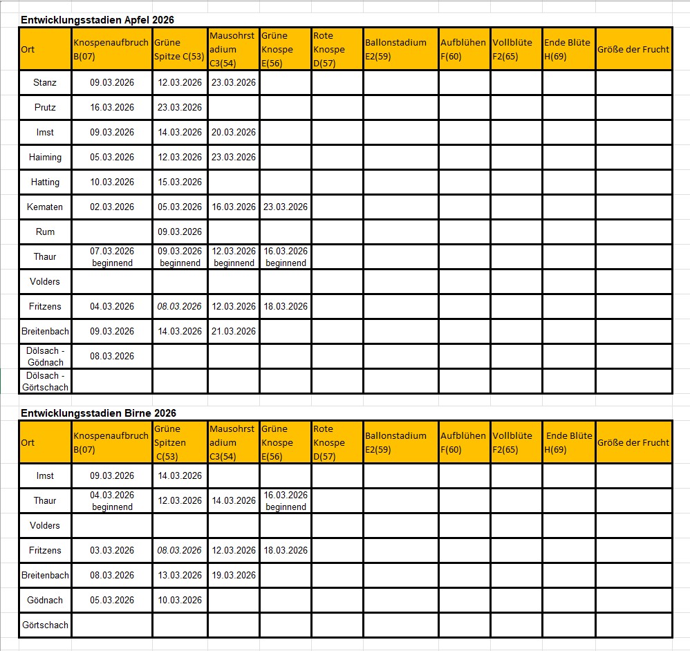 2026 Entwicklungsstadien.jpg